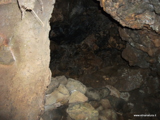 conco di Liricio-24-03-2013 10-34-16